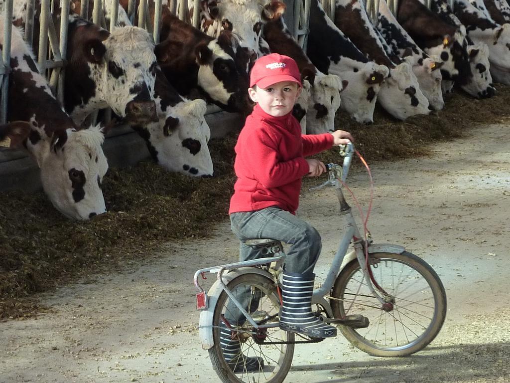 Gite De La Huberderie Quettehou Pokoj fotografie